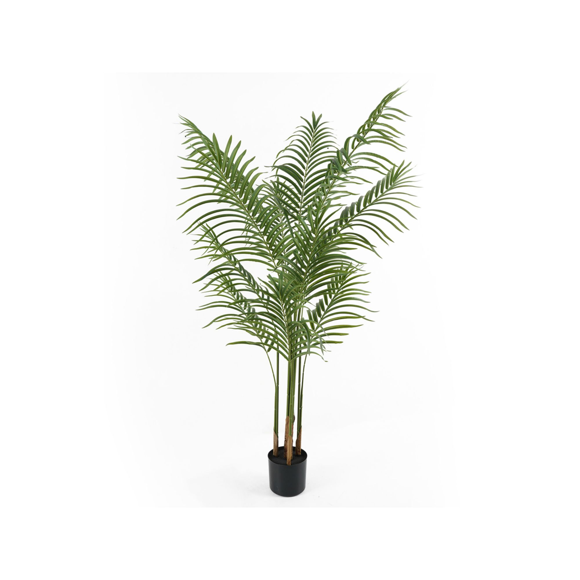 Present Time kunstplant Kwai Tree - groen - 60x60x140cm
