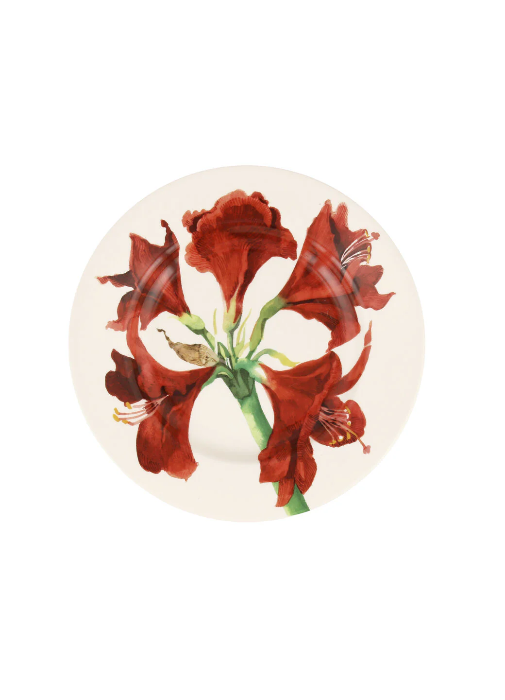 Amaryllis Medium Dinner Plate, 8.5 Inch