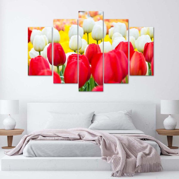 Feeby Obraz 5 częściowy Białe i czerwone tulipany 100x70