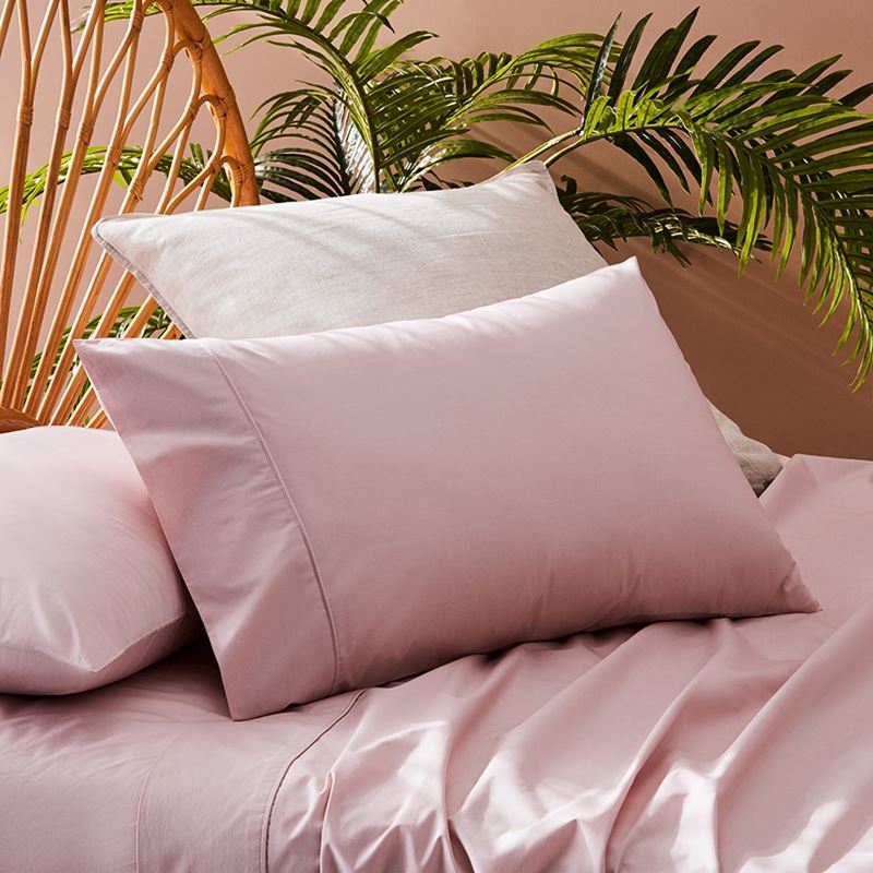 Fresh Cotton Percale Lotus Sheet Separates
