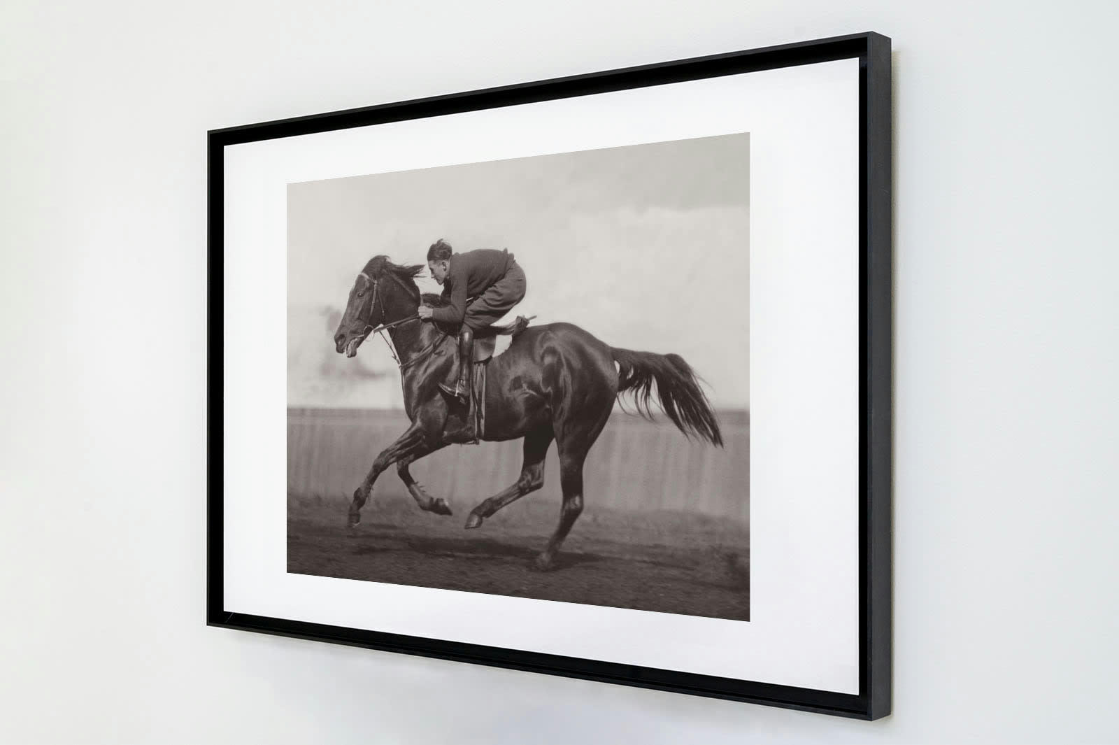 EQUITATION - Photo ancienne noir et blanc cheval n°40 cadre noir 40x60cm