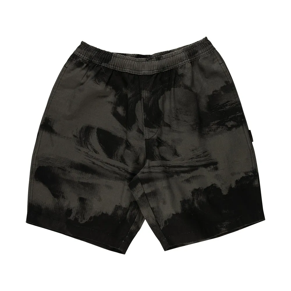 Santa Cruz Painters shorts