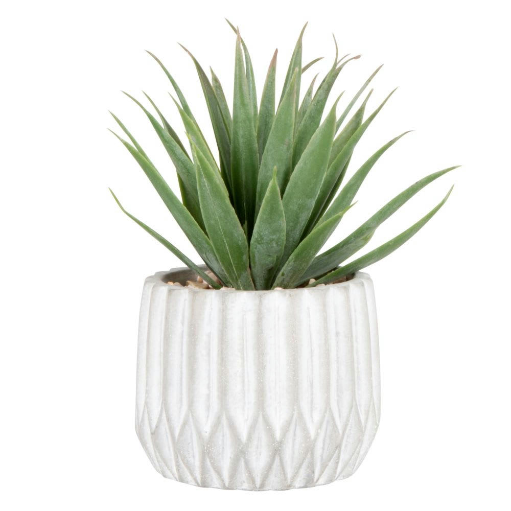 LYN - Succulente artificielle et pot en ciment gris