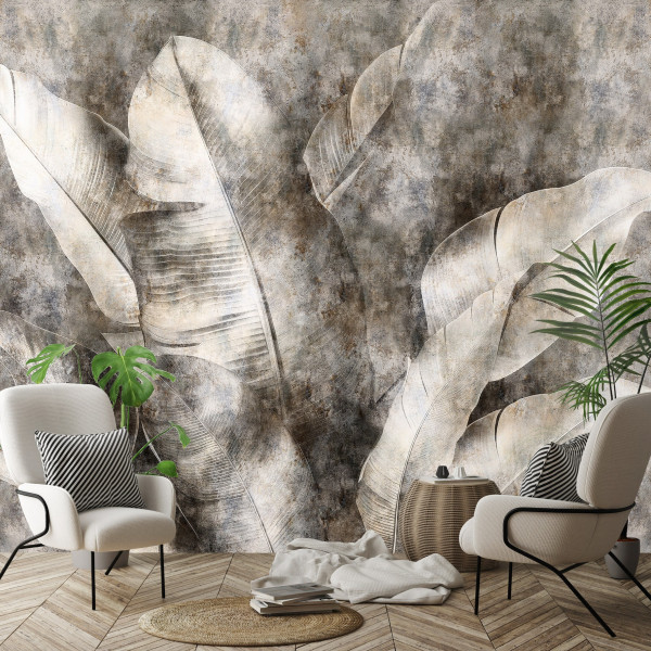 Fototapeta Liście Bananowca Szary Sypialnia Salon Tapeta Flizelina 250X175