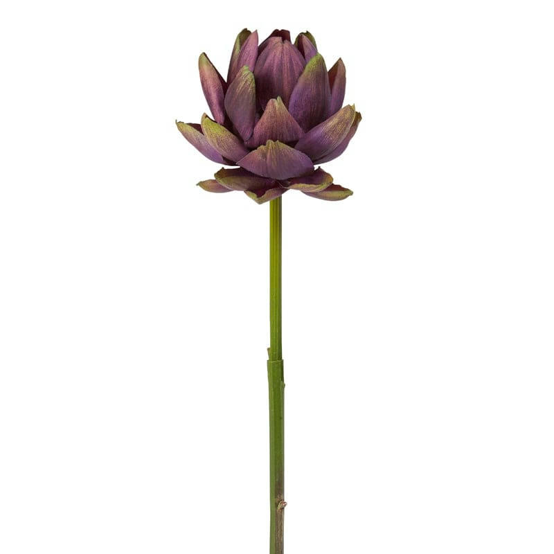 - Artichaut violette en polyestère H55