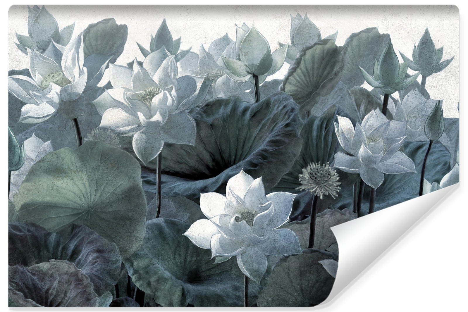 Fototapeta Abstrakcyjne Kwiaty Lotosu 90x60cm