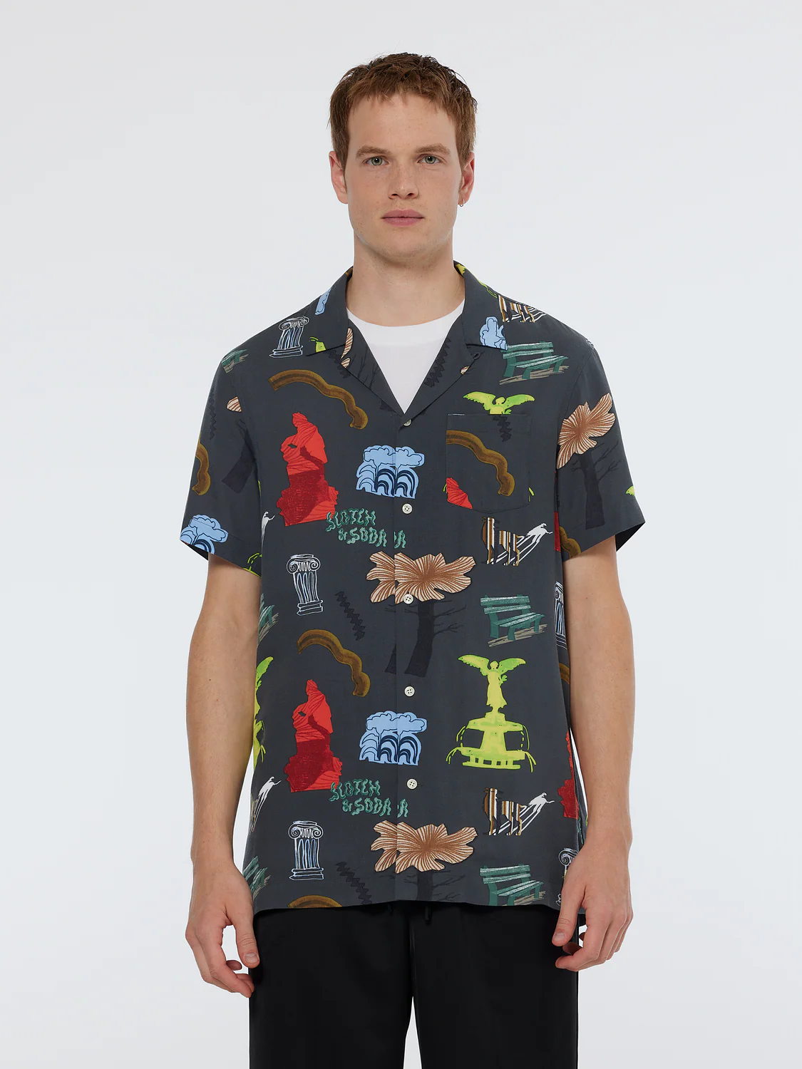 Regular Fit Short Sleeve Park Print Shirt