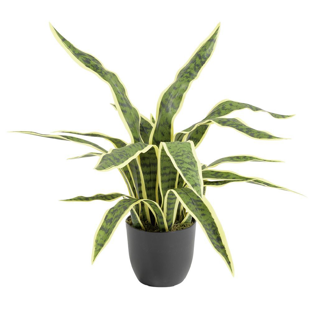 Arbre Sanseviera artificiel vert Ø25xH60cm