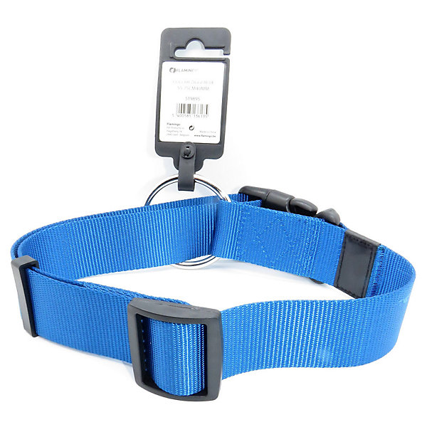 Collier Ziggi bleu 55 -75 cm 40 MMtaille XXL pour chien