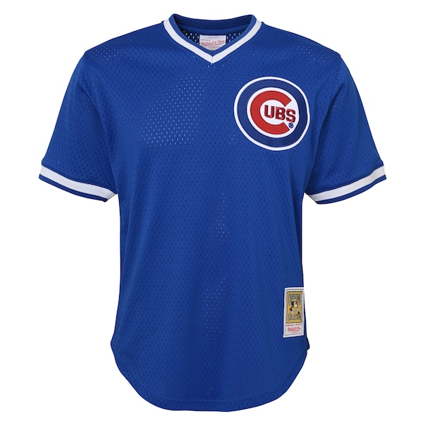 Ryne Sandberg Chicago Cubs Youth Cooperstown Collection Mesh Batting Practice Jersey - Royal