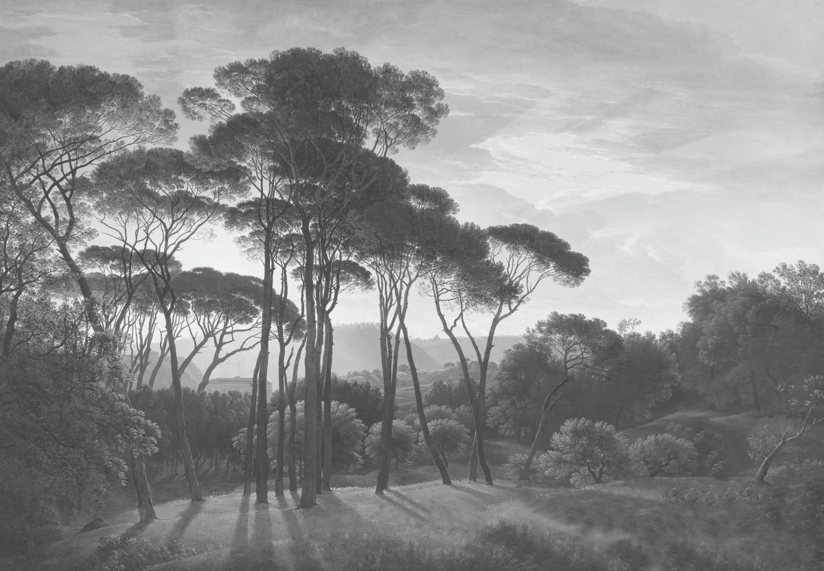 - Papier peint panoramique paysage lumineux cumulus 270x390cm