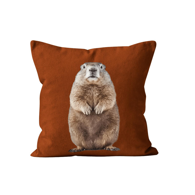 - Coussin déco animal marmotte rouge grenat velours 40x40cm