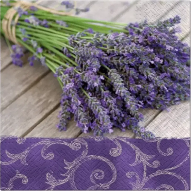 Serviette 20er-Set Diverse