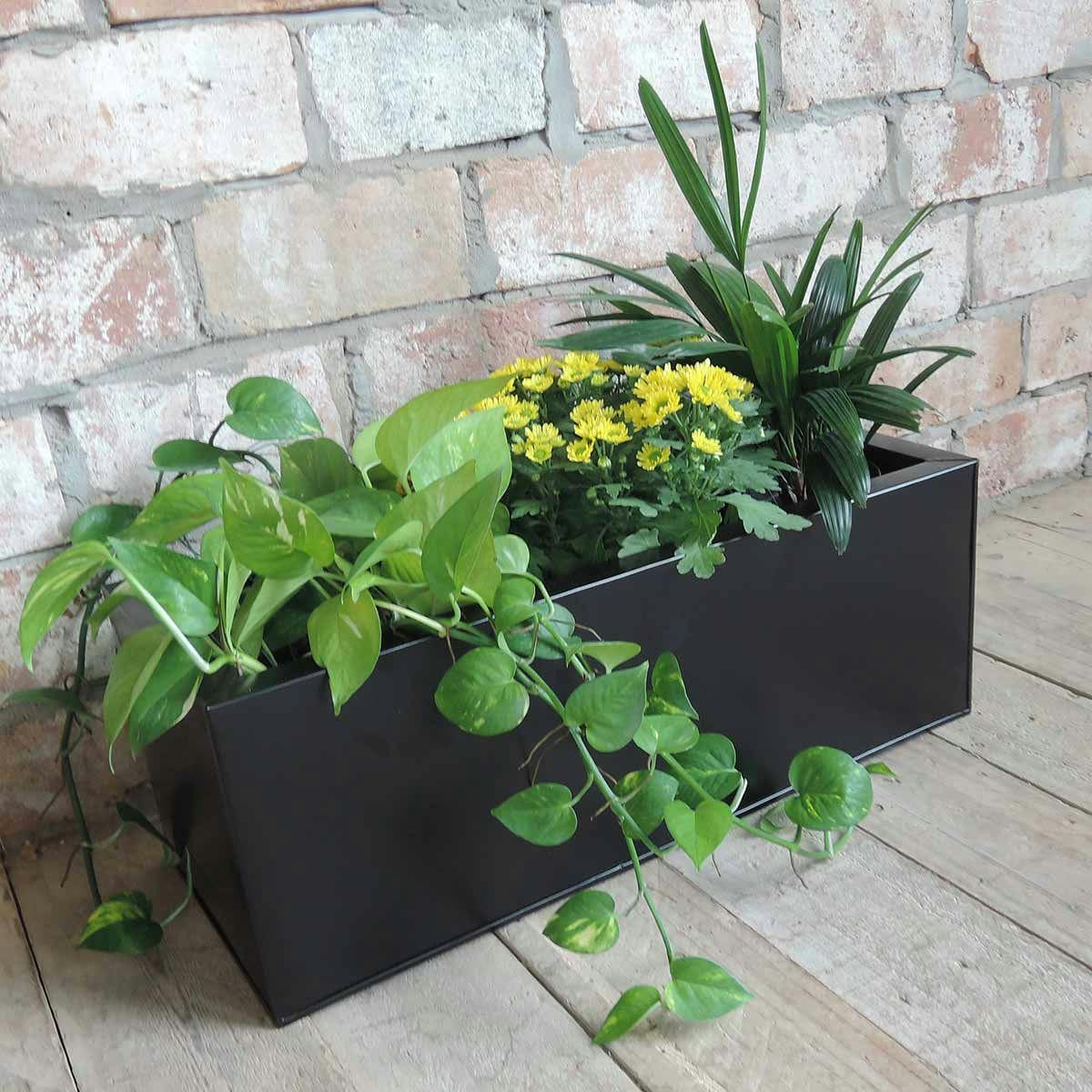 - Jardinière rectangulaire à poser