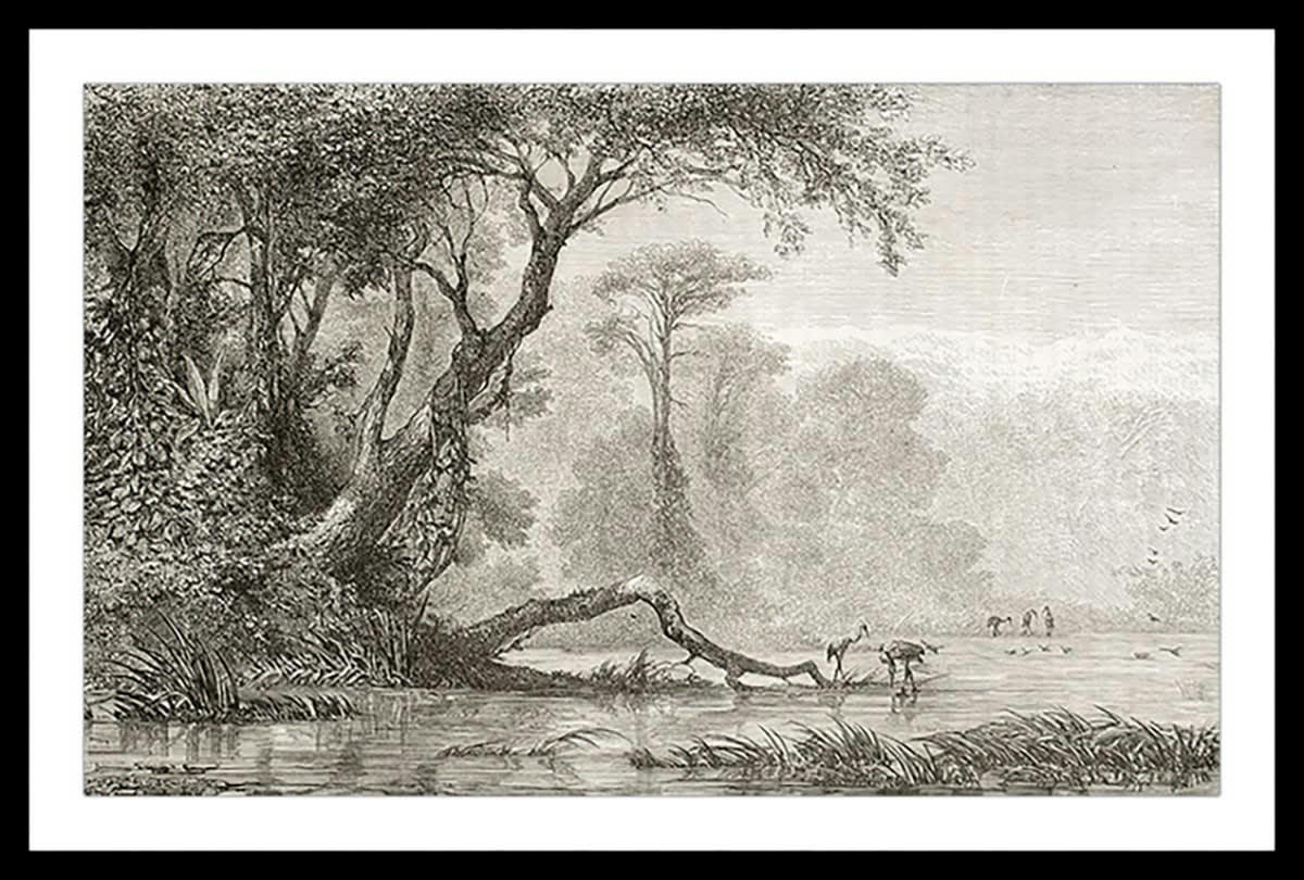 - Affiche gravure les bords du fleuve avec cadre noir 90x60cm