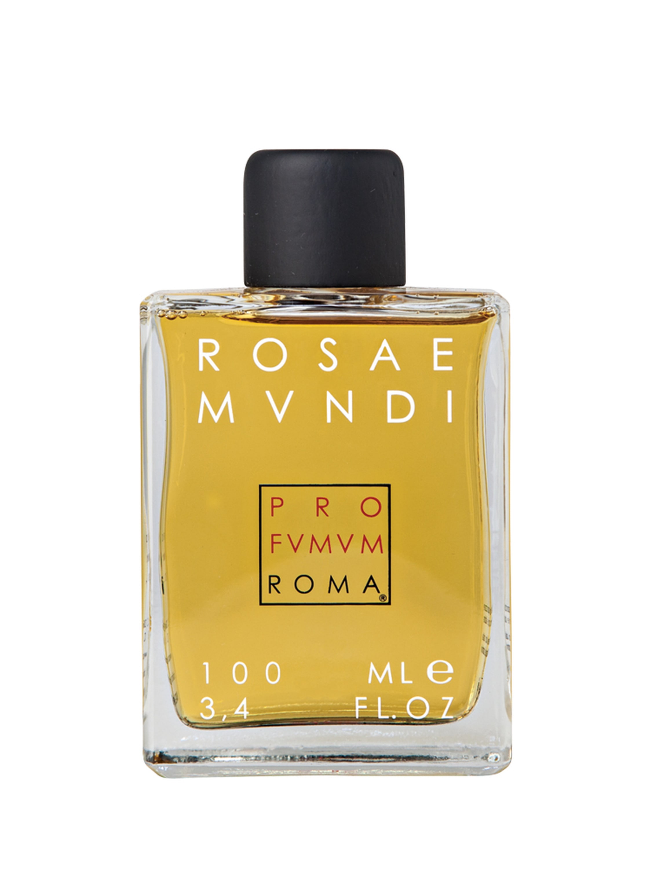 PROFVMVM ROMA ROSAE MUNDI