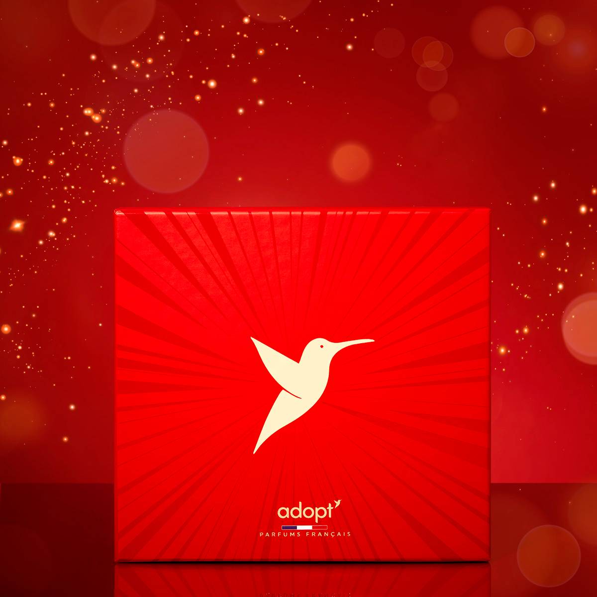 Boîte cadeauGrande taille