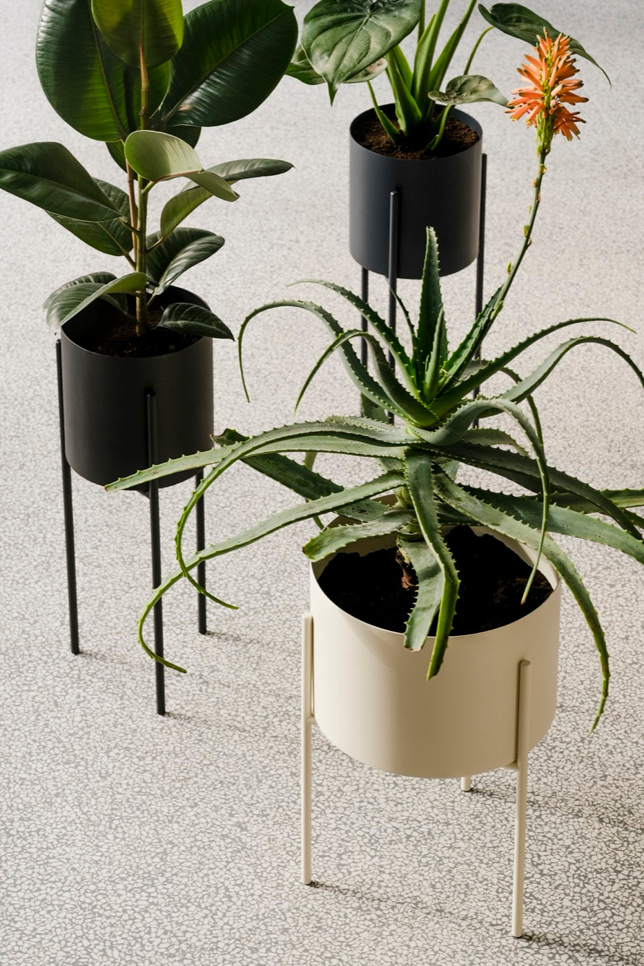 noo.ma MAKI Bloempot - breed - Piazza Beige