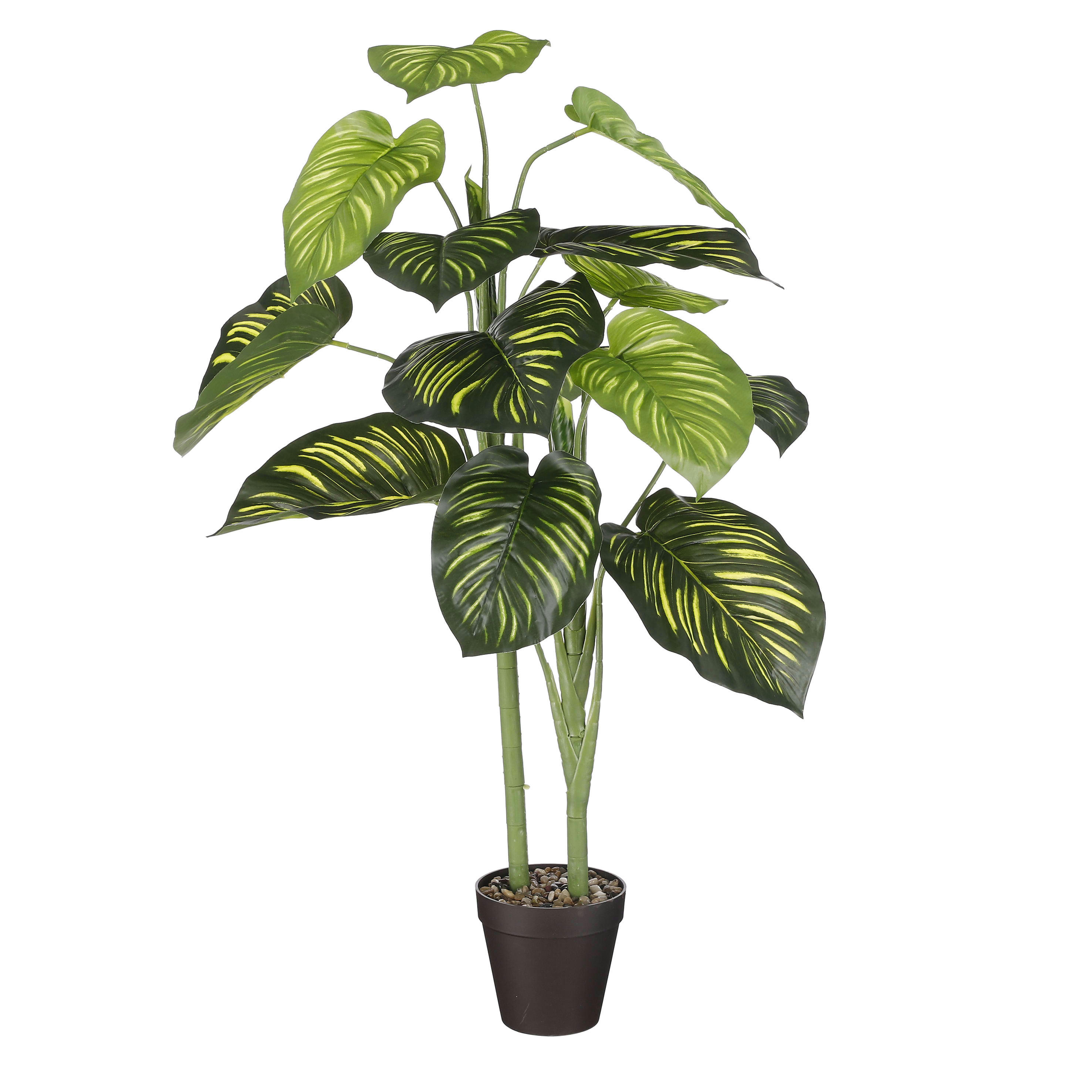 - Caladium artificielle vert en pot H100