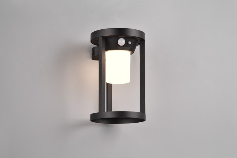 Kinkiet zewnętrzny CARMO 3000K czarny LED 1x2W 130lm IP54 Trio