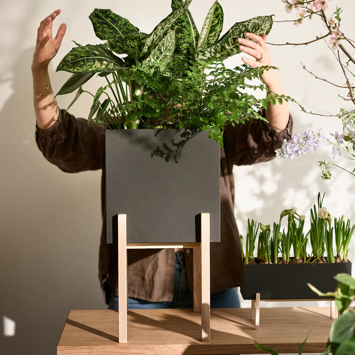 Design House Stockholm - Botanic Pedestal Pot, schwarz / natur