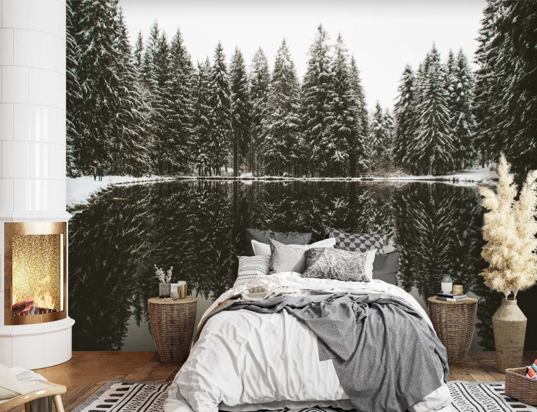 Feeby Fototapeta, Jezioro las zima natura 150x105