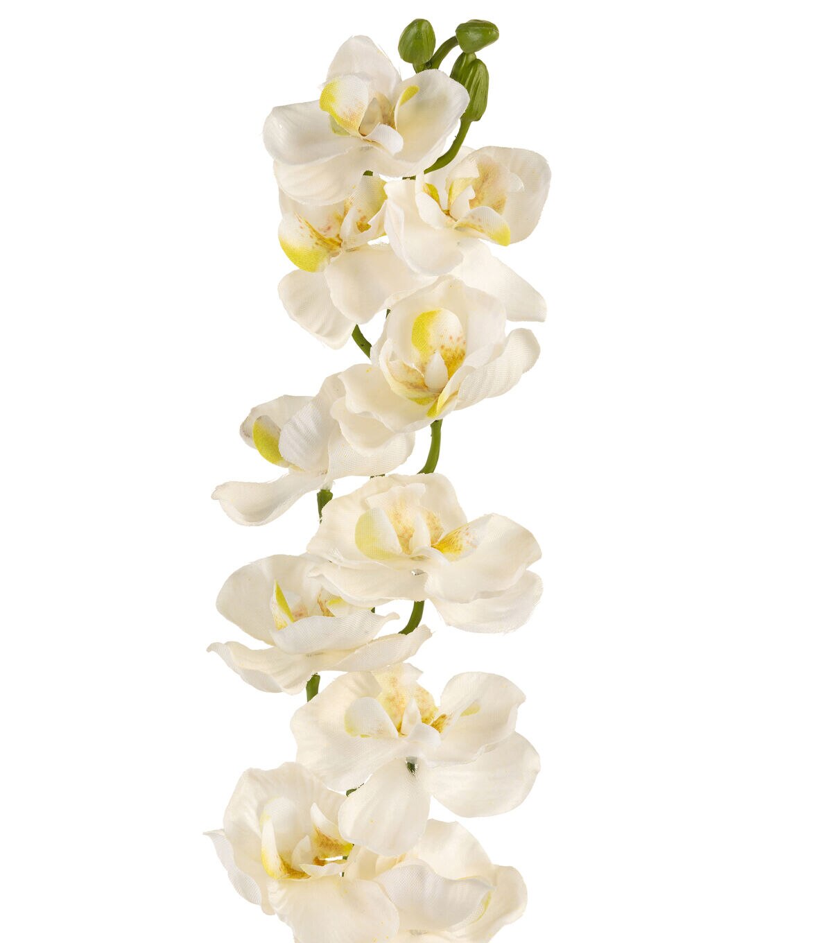 28.5 White Orchid Stem by Bloom Room
