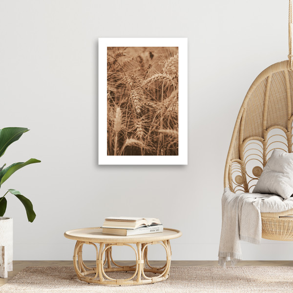 Feeby Obraz na płótnie, Kłosy zboża 40x60