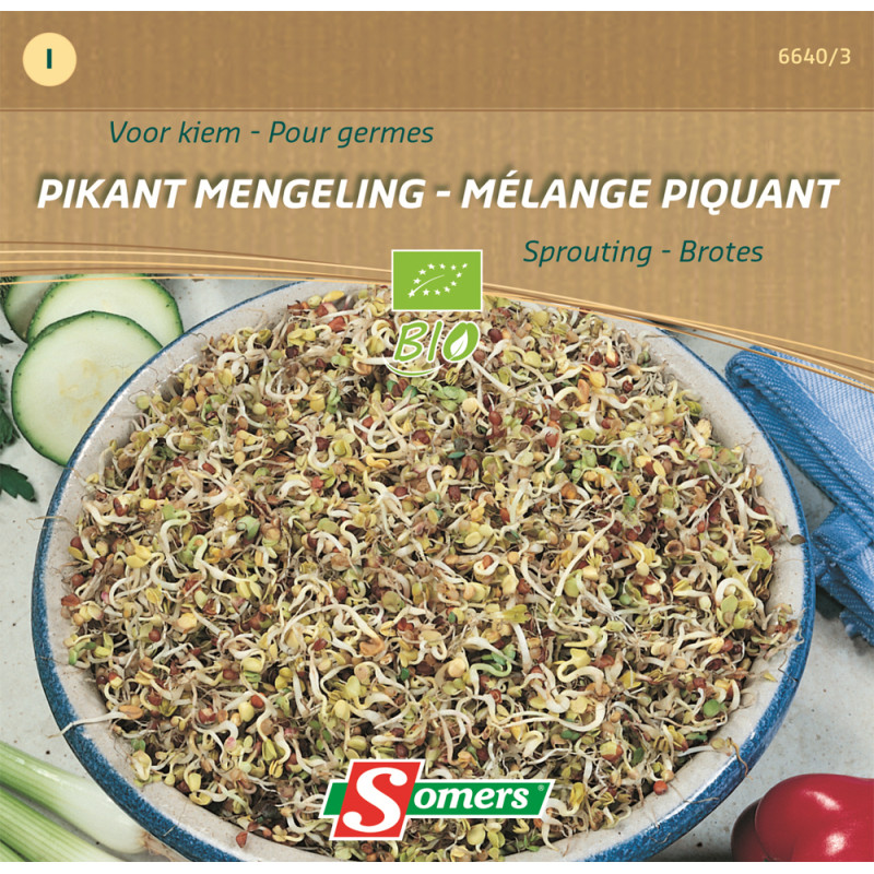 Semences de germes Mélange Piquant Bio SOMERS
