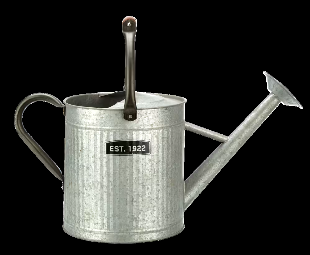 Panacea Vintage Style Decorative Watering Can w/ Wooden Handle, 7.5-L, Silver