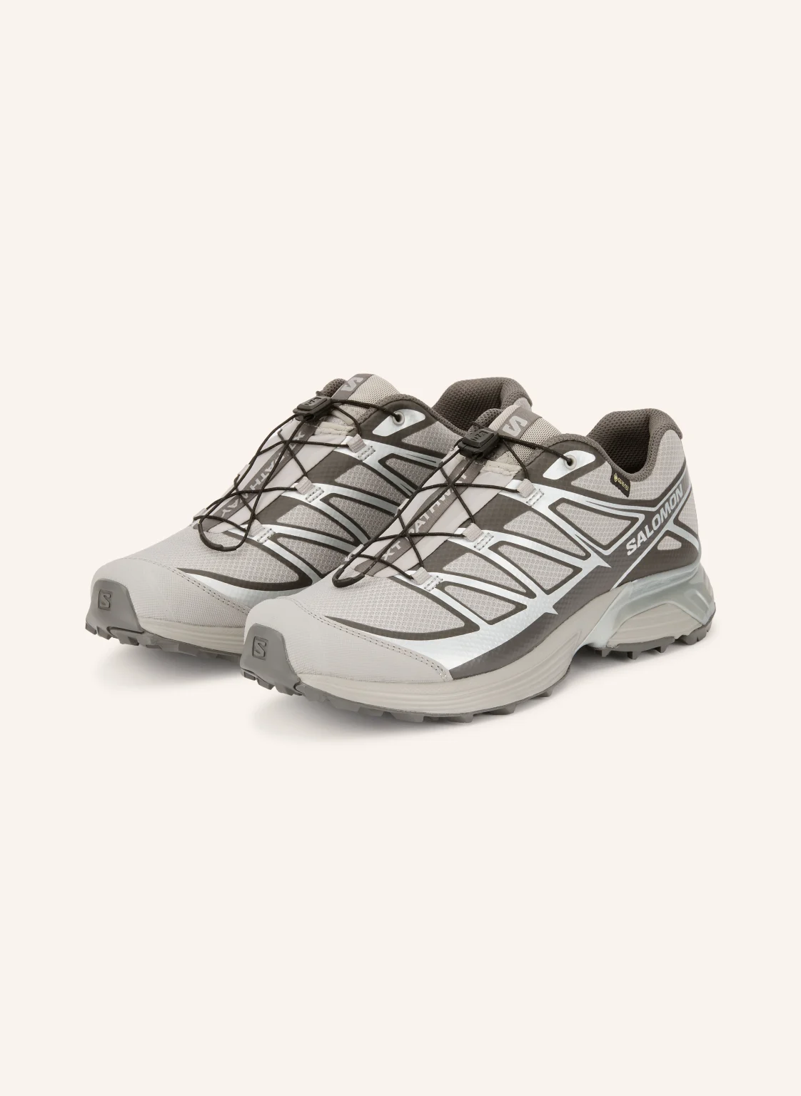 SALOMON Sneaker XT-PATHWAY GTX