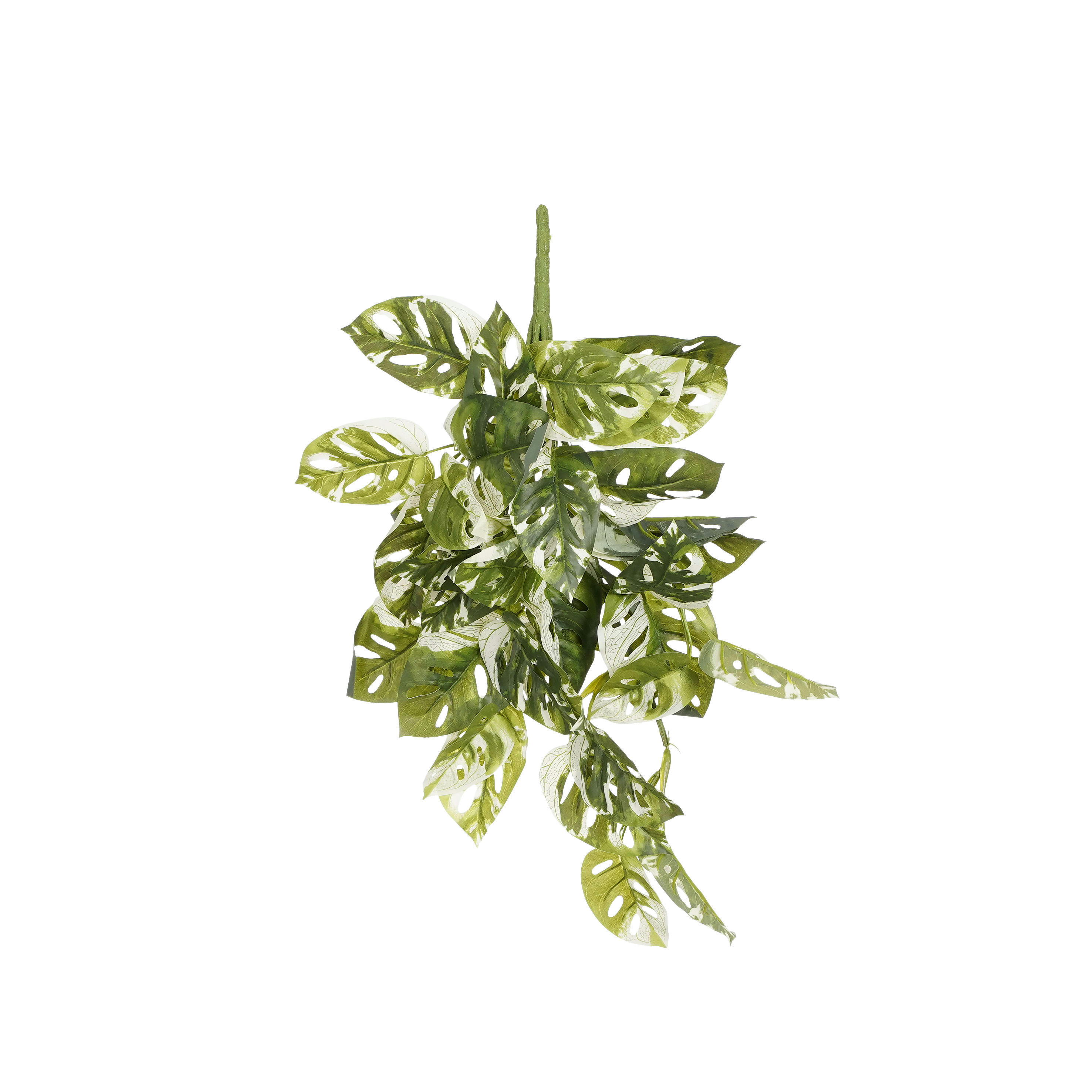 - Monstera adansonii suspendu artificielle vert panaché H53