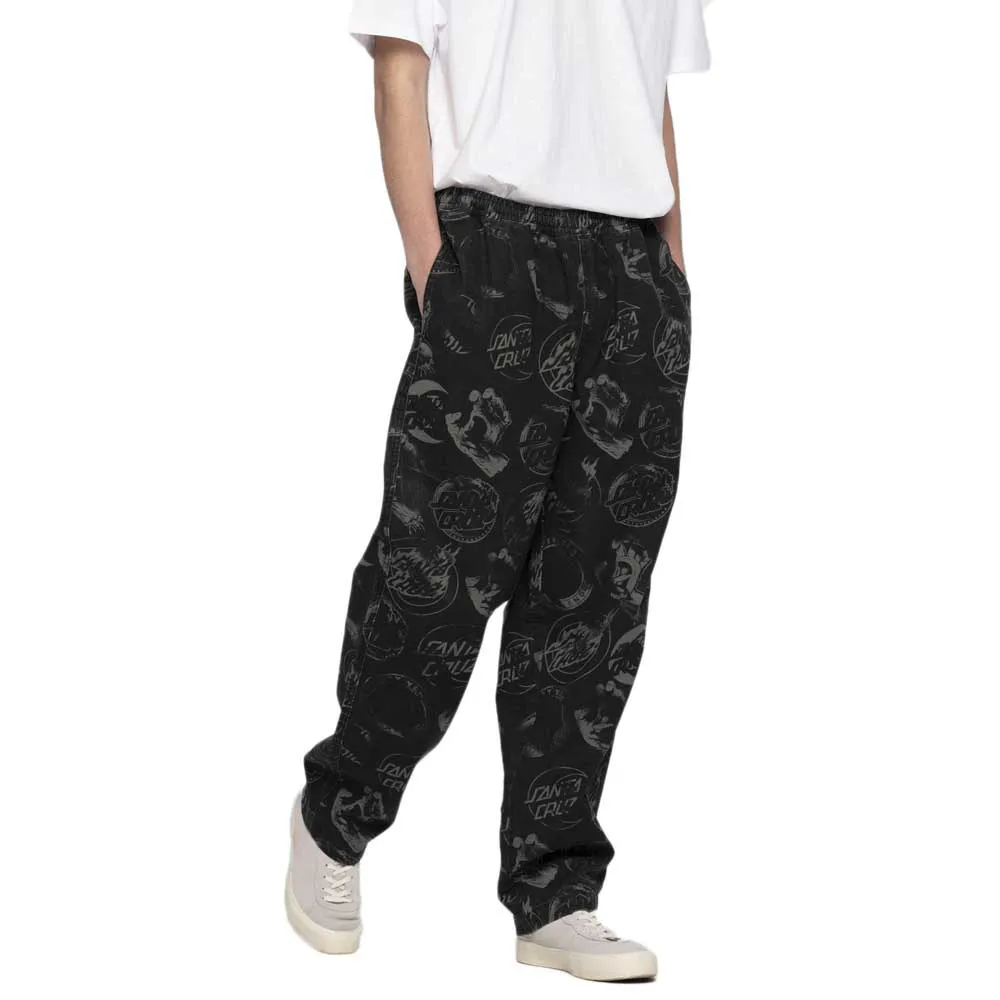 Santa Cruz Local holo pants