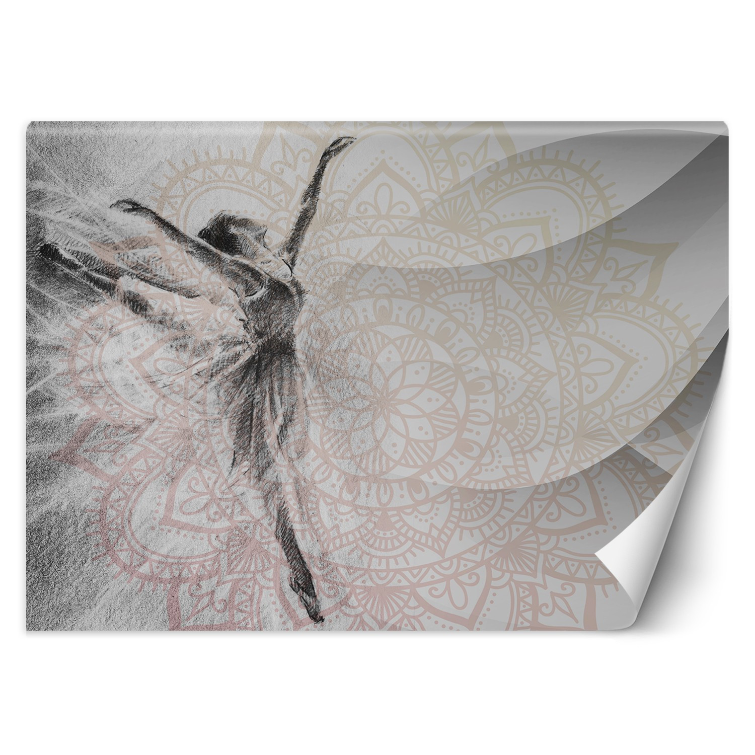 Feeby Fototapeta, Baletnica Mandala 150x105