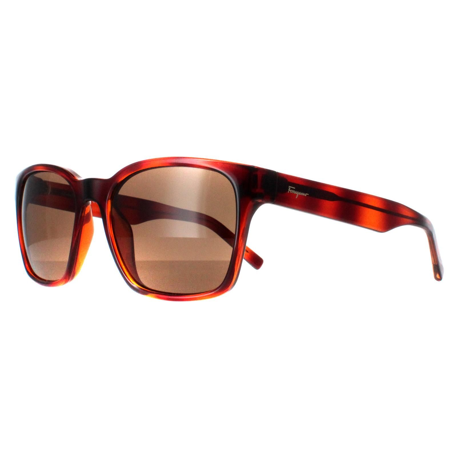 Salvatore Ferragamo Square Tortoise Brown SF959S