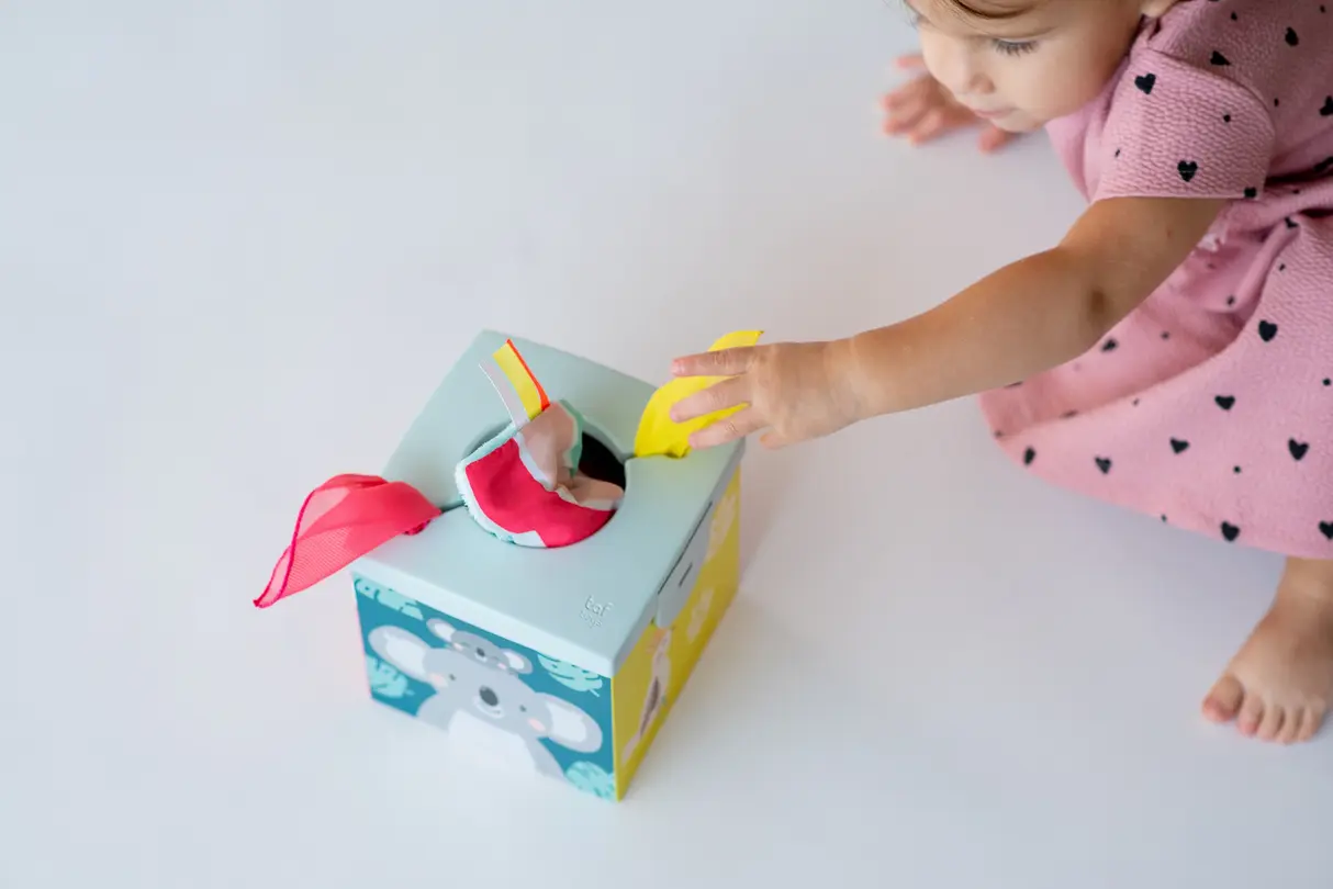 Spielzeug Taf Toys