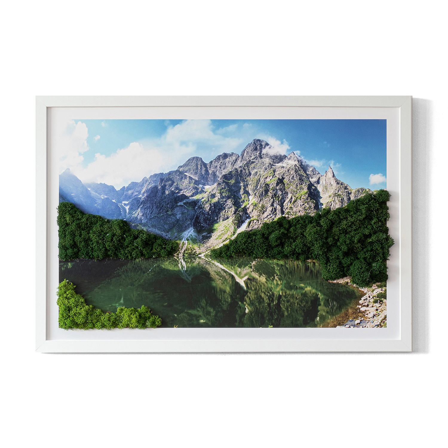 Obraz z mchem - Tatry - Morskie oko 60x40 cm Biała Rama