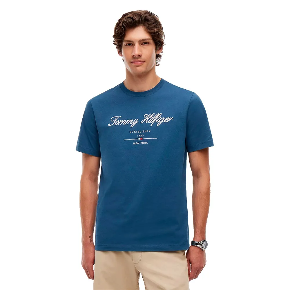 Tommy Hilfiger Script Logo short sleeve T-shirt