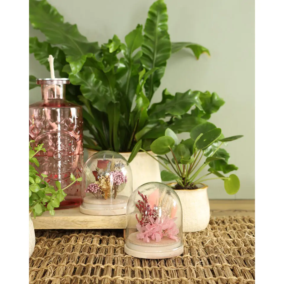 Ideas4seasons Flesvaas Berlin - glas - lichtroze - D9 x H21 cm