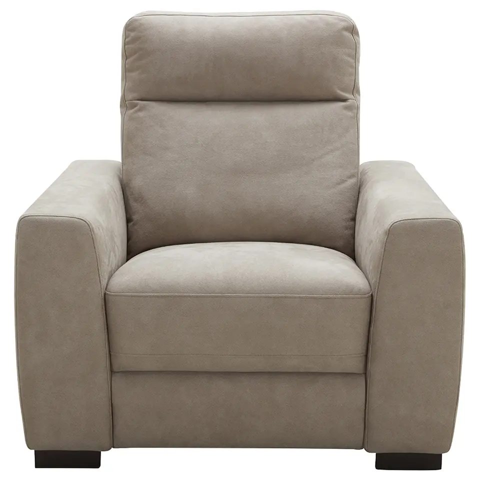 Fauteuil James - lederlook - zilvergrijs