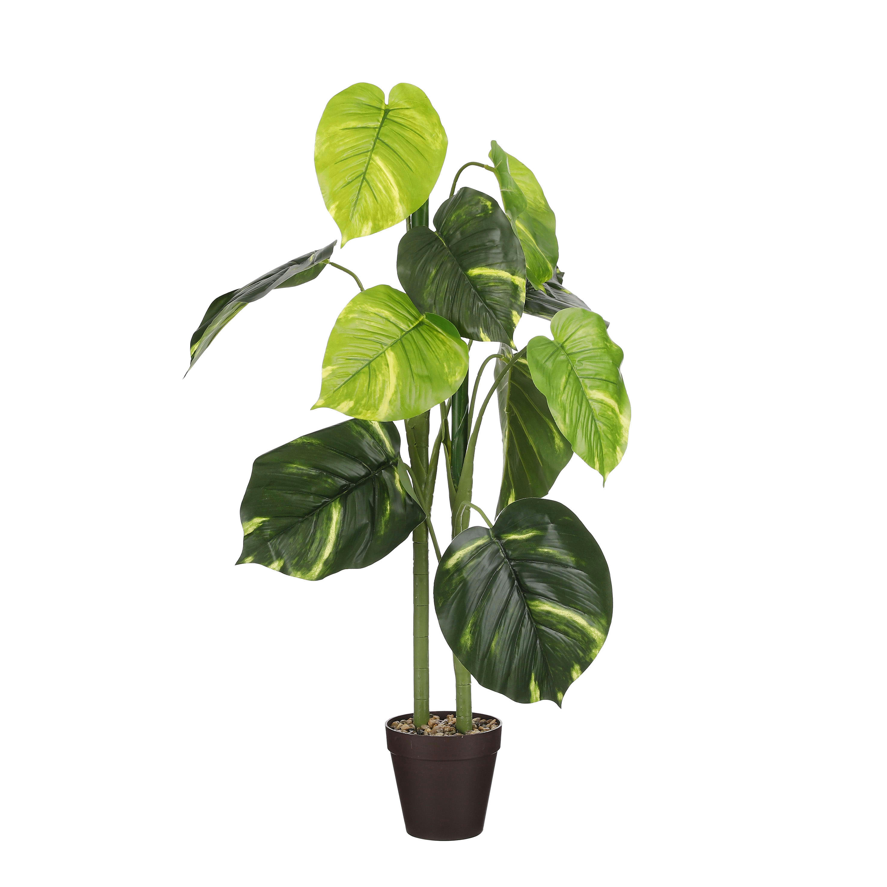 - Caladium artificielle vert foncé en pot H100
