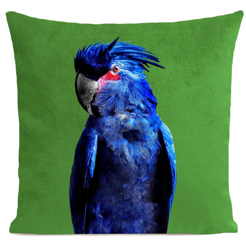 - Coussin perroquet velours vert 40x40cm