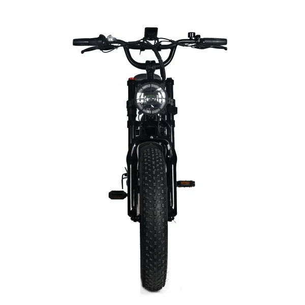 Electric Mountain Bike for Adults | 20 x 4.0 Fat Tires, 1000W Motor, 48V 20Ah Removable Battery, Max Speed 45MPH, Shi Mano 7-Speed for Off-Road Adventures
