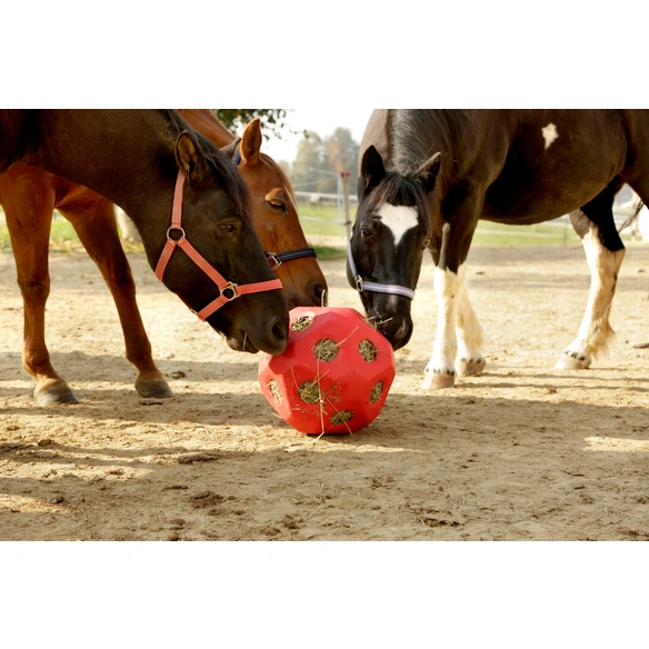 Futterspielball »HeuBoy«, speziell für Pferde, rot