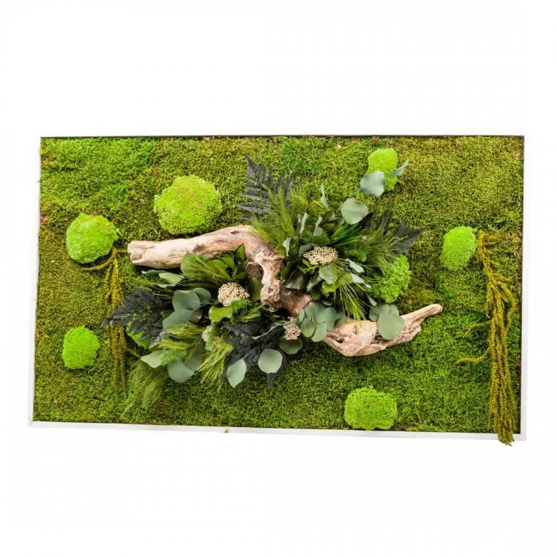 STAB NATURE - Tableau végétal stabilisé nature rectangle 57 x 97 cm