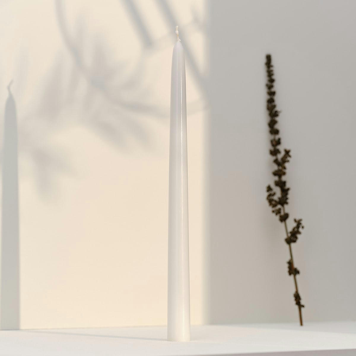 - 12 bougies flambeaux 8h Blanc Intemporel