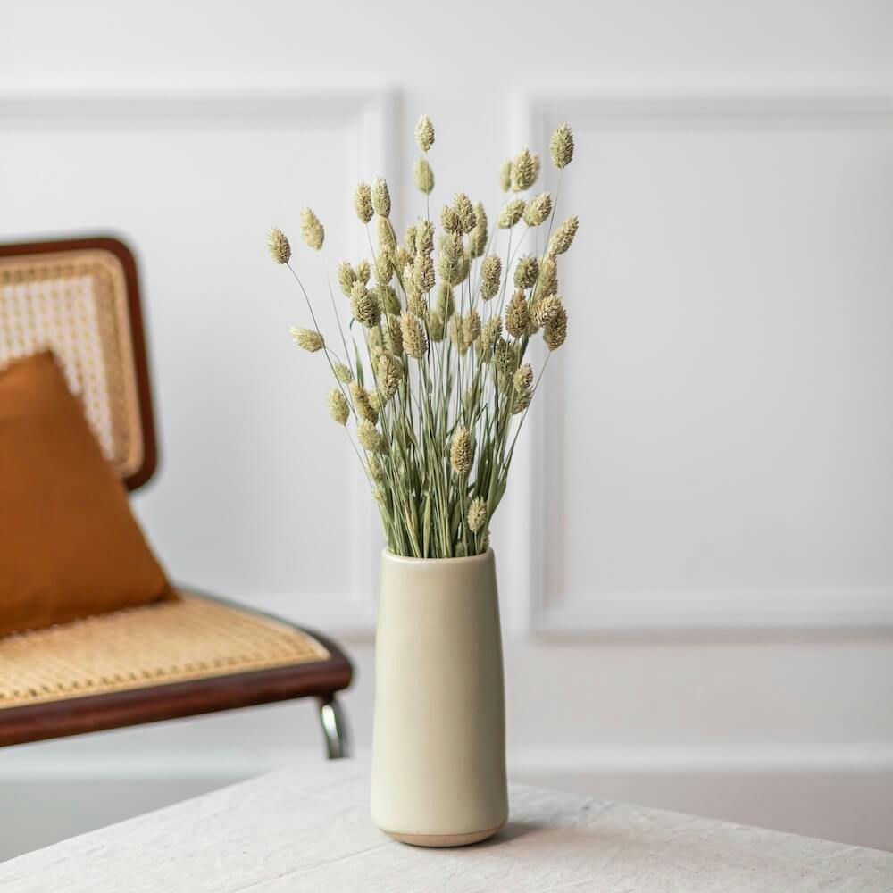 - Botte Phalaris naturel