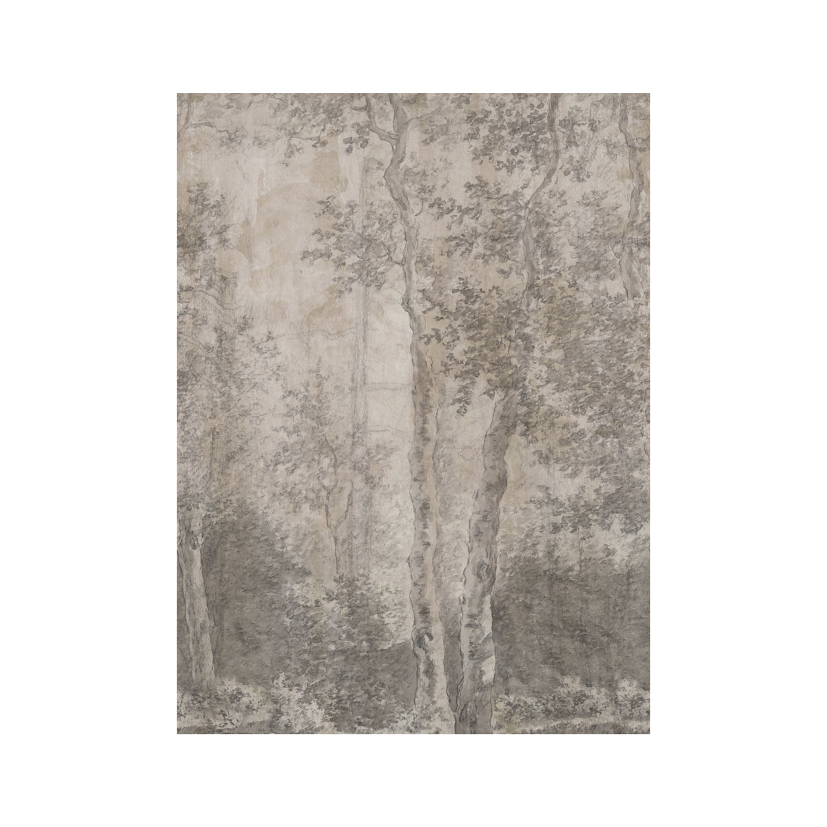 LOOKS by Wolfgang Joop Fotobehang - Berkenbomen - 270x200cm