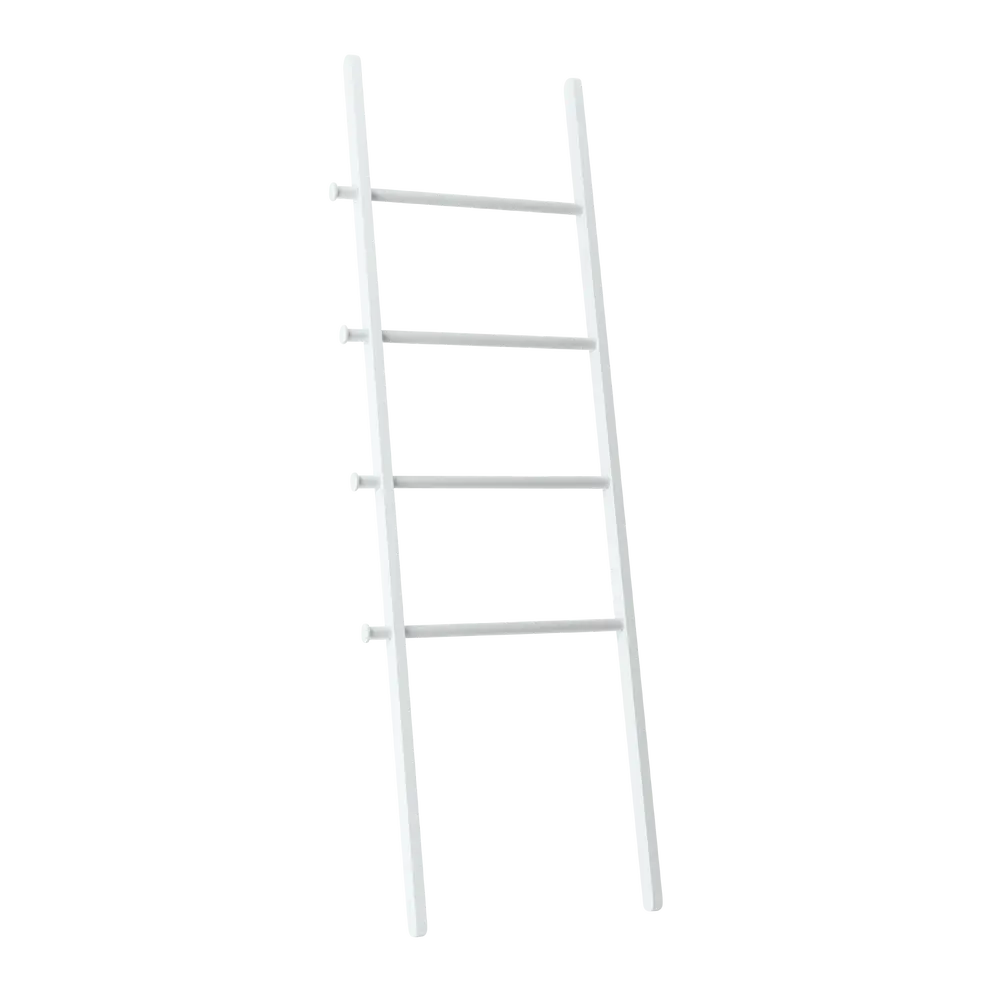 Leiter Shelf