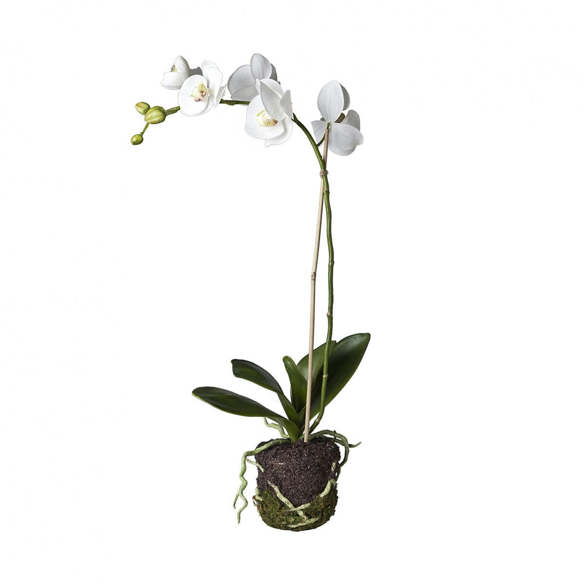 - Orchidée artificielle en terre H59cm
